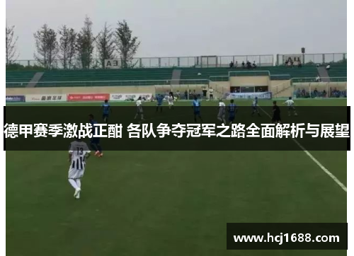 德甲赛季激战正酣 各队争夺冠军之路全面解析与展望