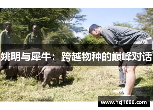 姚明与犀牛：跨越物种的巅峰对话