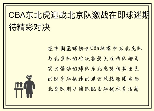 CBA东北虎迎战北京队激战在即球迷期待精彩对决